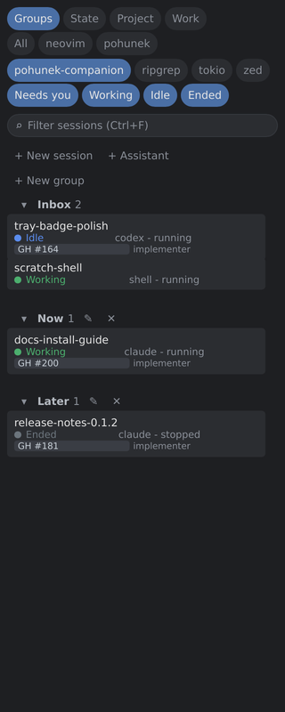 A project chip and the Ended chip active, showing only that project sessions